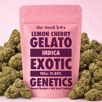 THCa flower lemon Cherry Gelato