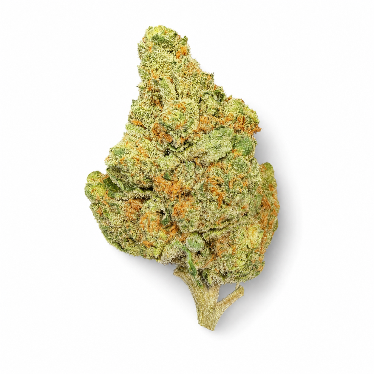 THCa flower pipe dream