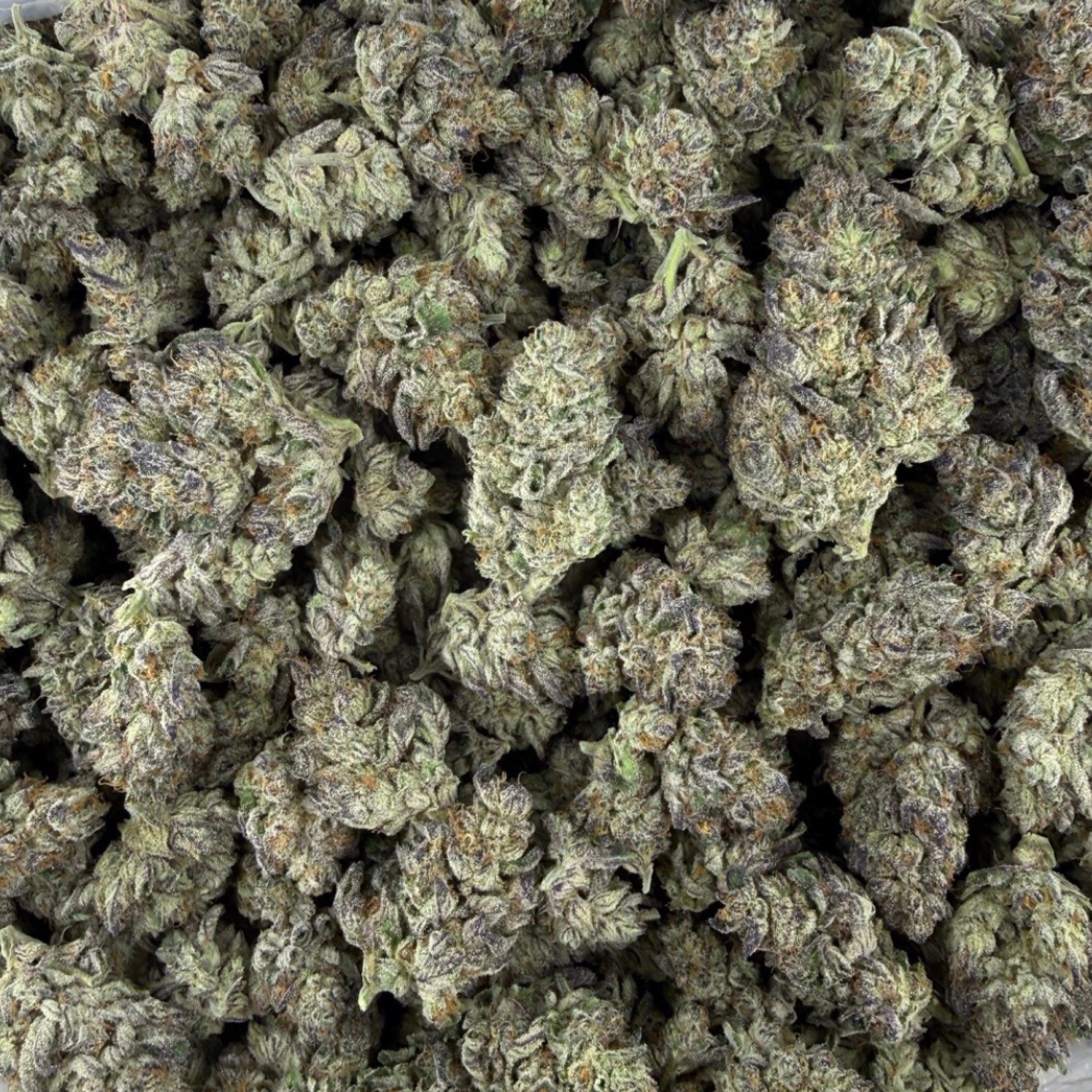 THCa Flower | Watermelon Runtz – The Weed Box