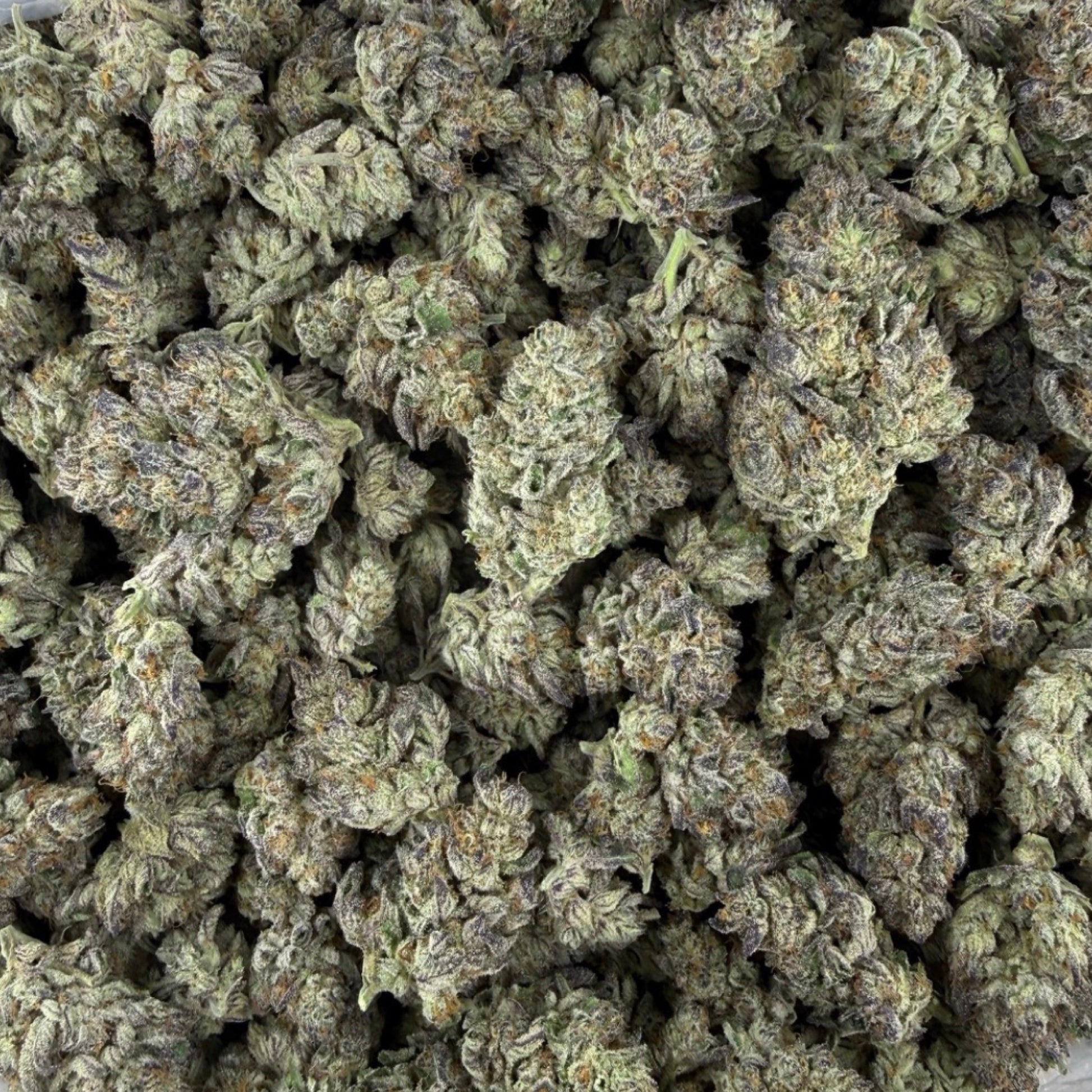 THCa flower watermelon Runtz 
