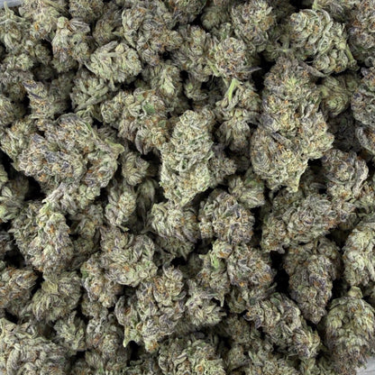 THCa flower watermelon Runtz 