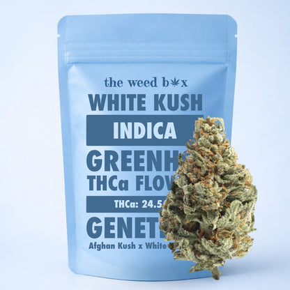 THCa flower white kush strain