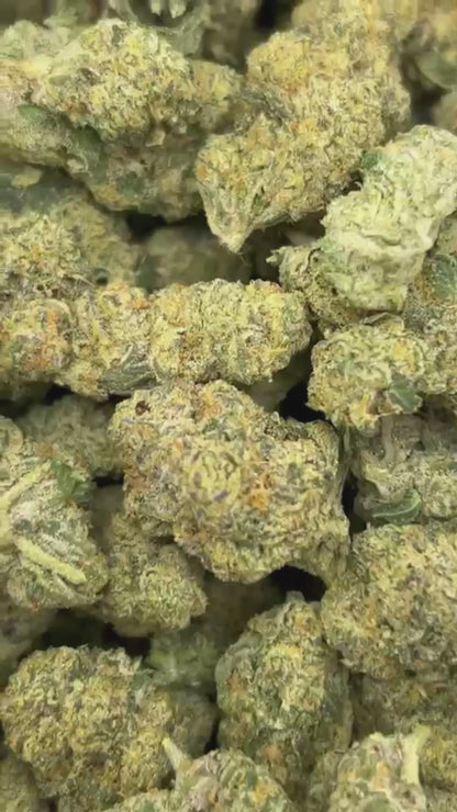 THCa Flower | Candy Zativa Orbit Exotic