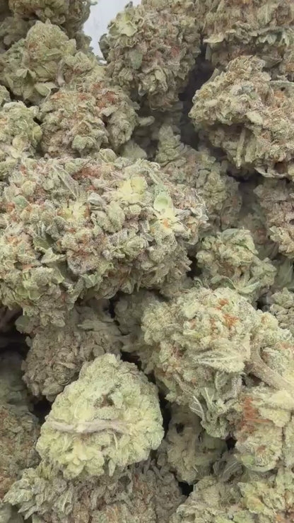 THCa Flower | Gelato Cake