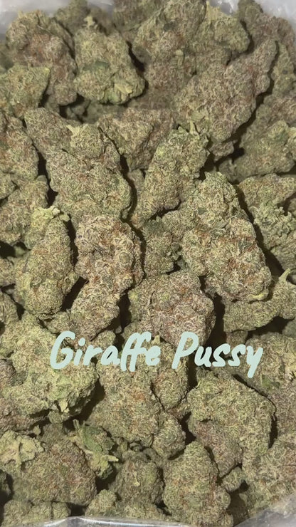 THCa Flower | Giraffe Pussy Exotic