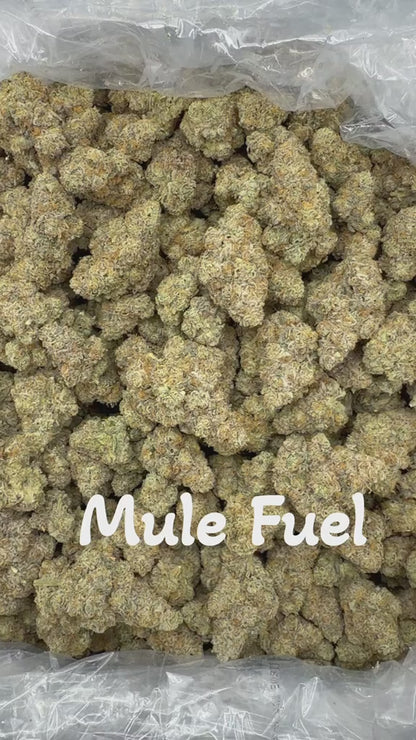 THCa Flower | Mule Fuel