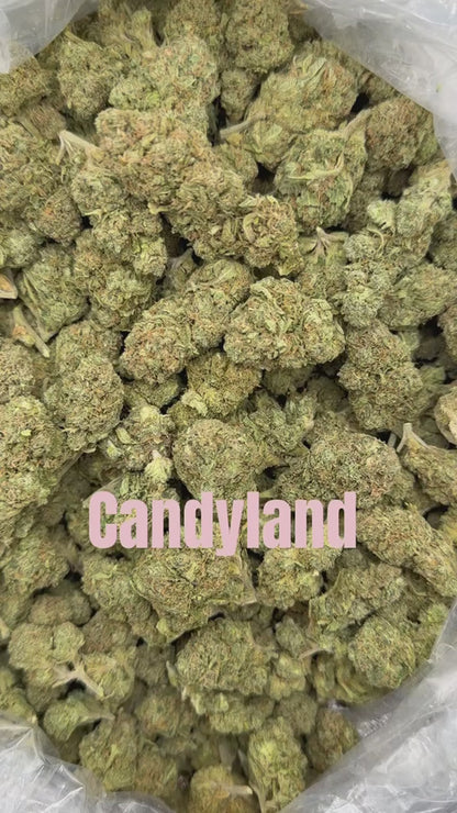 THCa Flower | Candyland