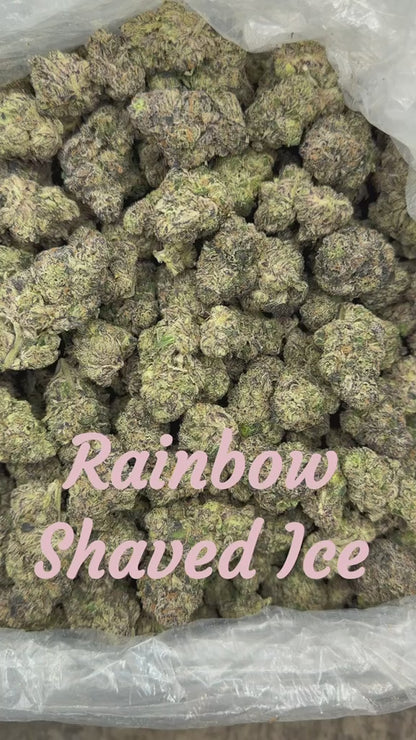 THCa Flower | Rainbow Shave Ice Super Exotic