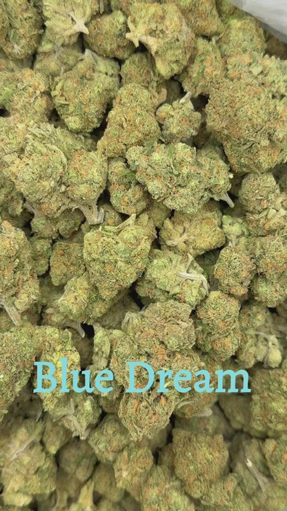 THCa Flower | Blue Dream