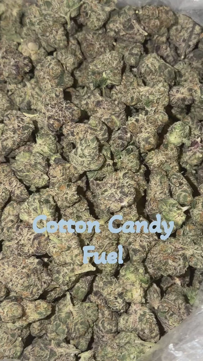 THCa Flower | Cotton Candy Fuel Exotic