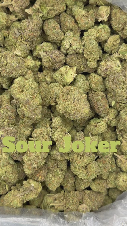 THCa Flower | Sour Joker
