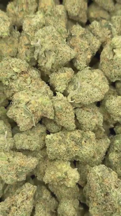 THCa Flower | Dutch Treat Exotic