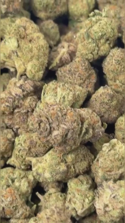THCa Flower | Girl Scout Cookies Exotic