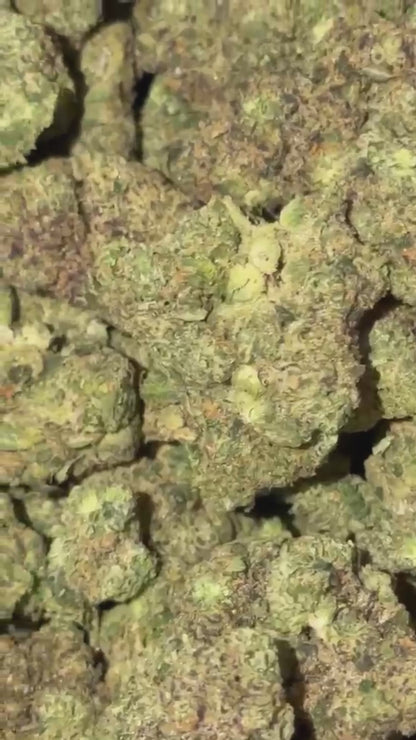 THCa Flower | Heavy Orbit Diesel Exotic