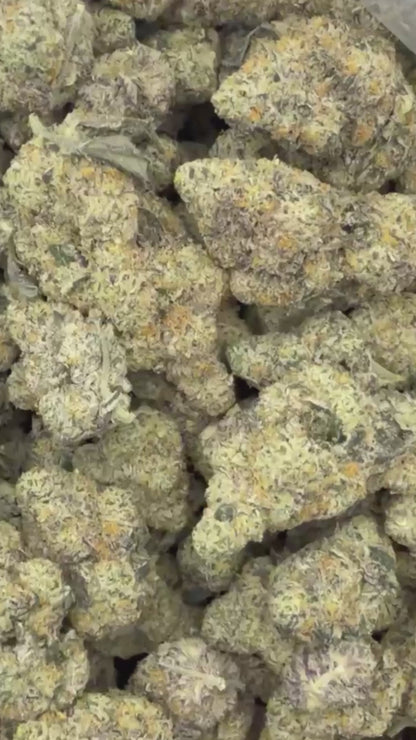 THCa Flower | Motorbreath Super Exotic